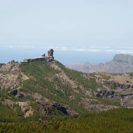 Sol De Maspalomas *