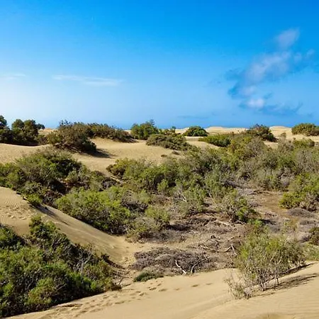 Sol De Maspalomas Holiday home *